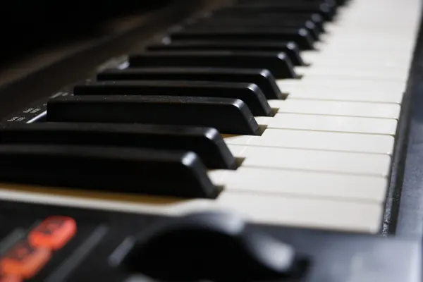 Nectar IMPACT GX49 at Dhwani Music Productions